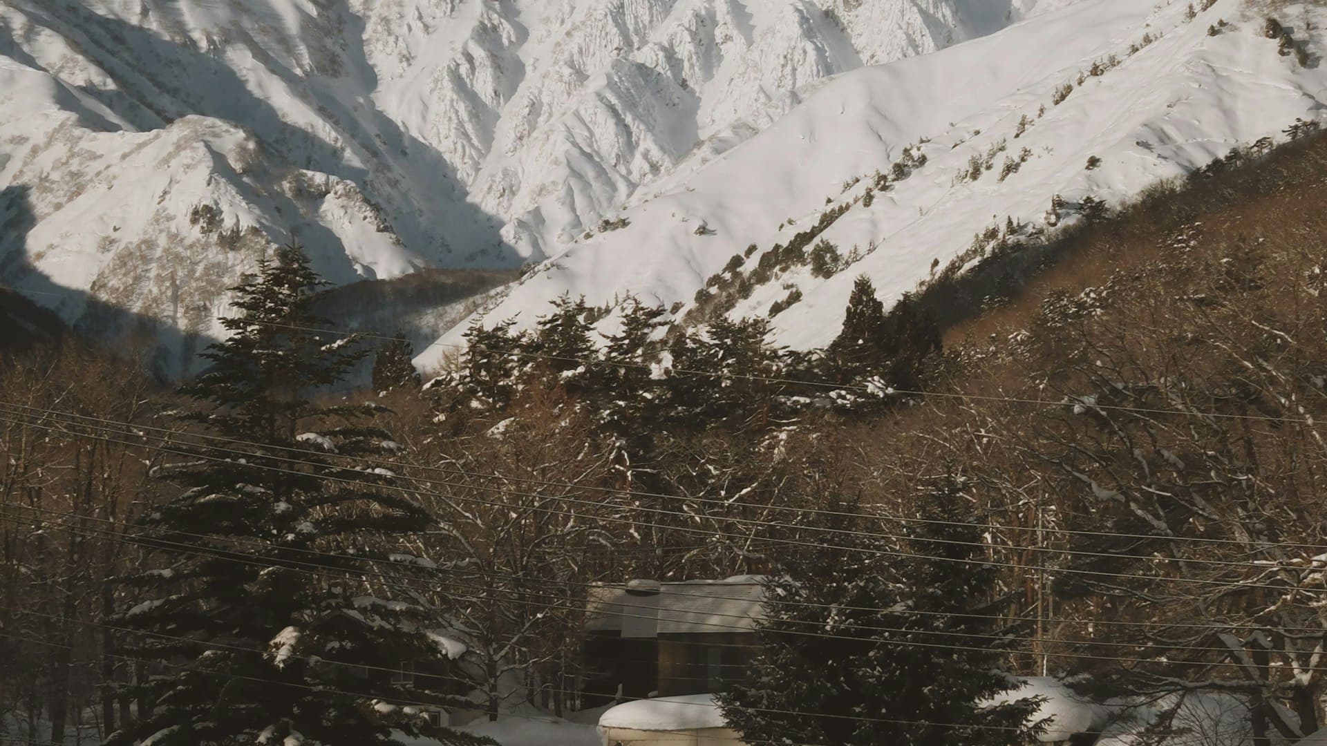 Hachi Kita Kogen