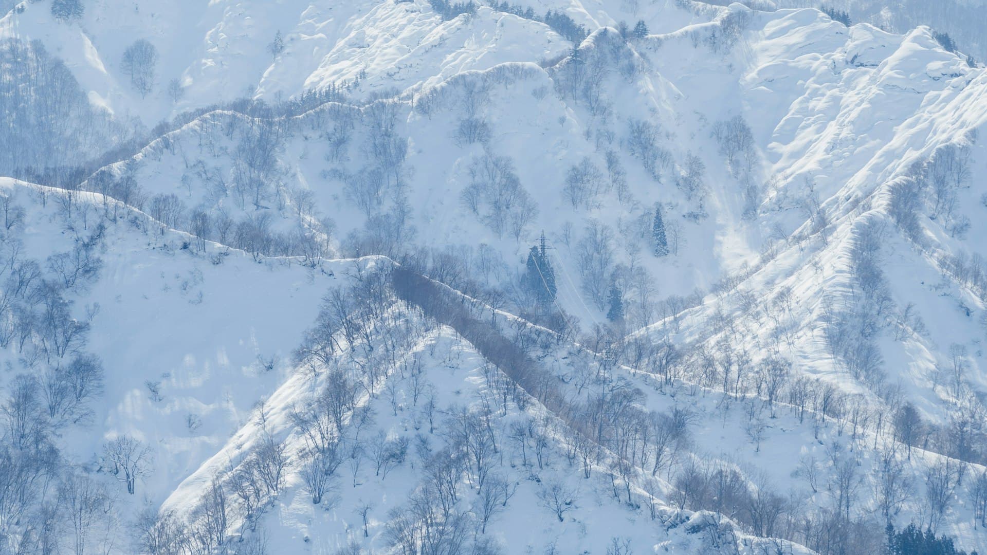 Hachi Kogen Ski Resort