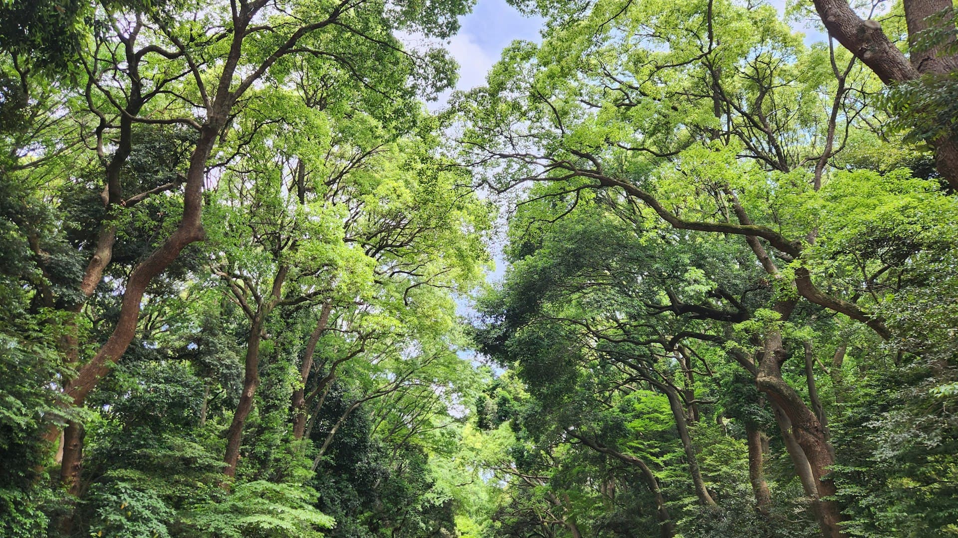 Niseko Hanazono